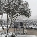 브니엘하우스 이미지