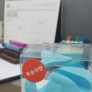 [체험단후기] 포리프 차량/휴대용/테이블 등 다용도 고래거치대