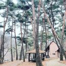 만수산자연휴양림 이미지