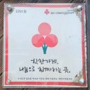 성주우체국 ~ 성산사거리 | [맛집] 서귀포 성산일출봉 주변 맛집 추천 &#39;호로록&#39;