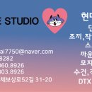 현대나염