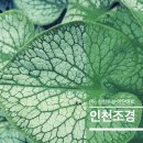 청림조경공사 이미지