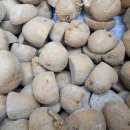 감자 심기 - 무농약, 무비료, 무비닐멀칭 감자농사(3) 이미지