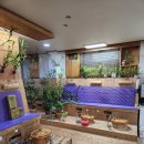 사랑의 뜰안 이미지