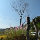 매동마을회관 이미지