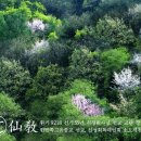 선기로2-4 이미지