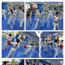 한체대국가대표태권도장 이미지