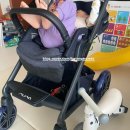 더 세탁 | 내돈내산 유모차세탁 더깨끗 후기!