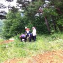 엽송골 Daum카페