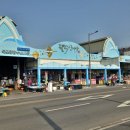 종합수산시장 이미지