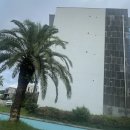 모던플레이스 | [제주숙소추천] 🏡 제주 서귀포 가성비 숙소 추천, 가족단위 추천 모던 플레이스 내돈내산 후기