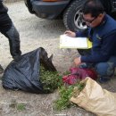 서부지방산림청(정읍국유림관리소) 이미지