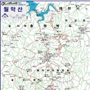 983 이미지