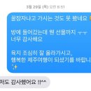 다모리네 이미지