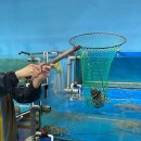 6246 | 나트랑 시내 맛집, 사진 찍기 좋은 카페, 전문 현지 마사지, 호텔 추천!! 겨울휴양지 베트남-나트랑 날씨