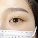 스노우브로우