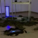 도시-공간 이미지