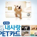 참좋은애견미용실 이미지