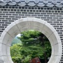 하이원펫클럽 이미지