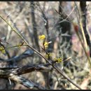 두척경로당 이미지