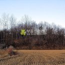 특구로27번길 이미지