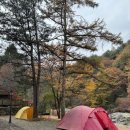소망정육식당 네이버블로그