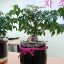 남구 다문화가족지원센터 이미지