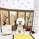 더 빛나개(the 빛나개) 이미지