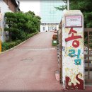 송림초등학교 네이버블로그