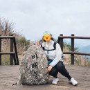 지리산허브벨리 | 지리산 바래봉 등산 후기, 철쭉 개화 상태 + 난이도 솔직 리뷰 (5월)