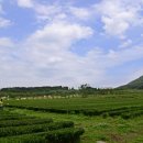 거로사거리(제주방면)