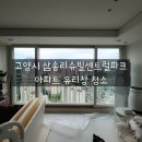태양약품 | 여름철 전망을 시원하게 만들어 주세요 - 삼송리슈빌센트럴파크 아파트 유리창 외창 청소