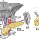 가비장의 이미지