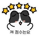 퍼피엔젤 반려동물 미용실 이미지