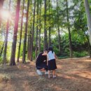 늘솔길공원화장실 이미지