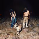 La La Land 이미지