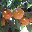 목원어린이집 이미지