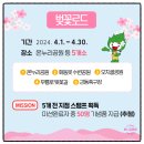쇠평마을 | 2024 울산 벚꽃명소 벚꽃축제 일정 벚꽃개화지도