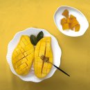 🍊아이브릭스-고당도 만다린 귤, 남독마이 골드망고🥭 이미지