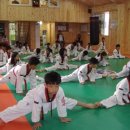 강박사태권도장 이미지