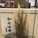 신동-42 | [신동맛집] 재방문한 쿄와동 후기 | 사케동, 우나기동