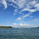 치예랑 | 나트랑 호핑투어 아기랑 준비물 일정 가격 솔직 후기