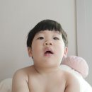 시범약국 | 비대면진료 어플 대상자 이용 방법 처방전 약국 시범사업 기간 닥터나우 후기