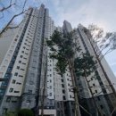 안양호원초등학교 이미지