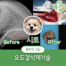 선부중앙동물의료센터 이미지