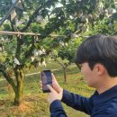 기상농장 이미지