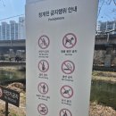 14단지매화(26329) | 서울 명소 추천 용답매화마을 청계천 산책로에 위치한 하동매실거리