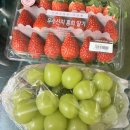 세븐일레븐양주고읍현대점 | 마지막 블챌!! 내 일주일!!!