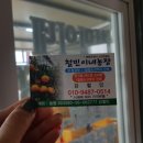 철민농장 네이버블로그