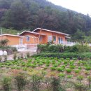 텃밭공인중개사사무소 이미지